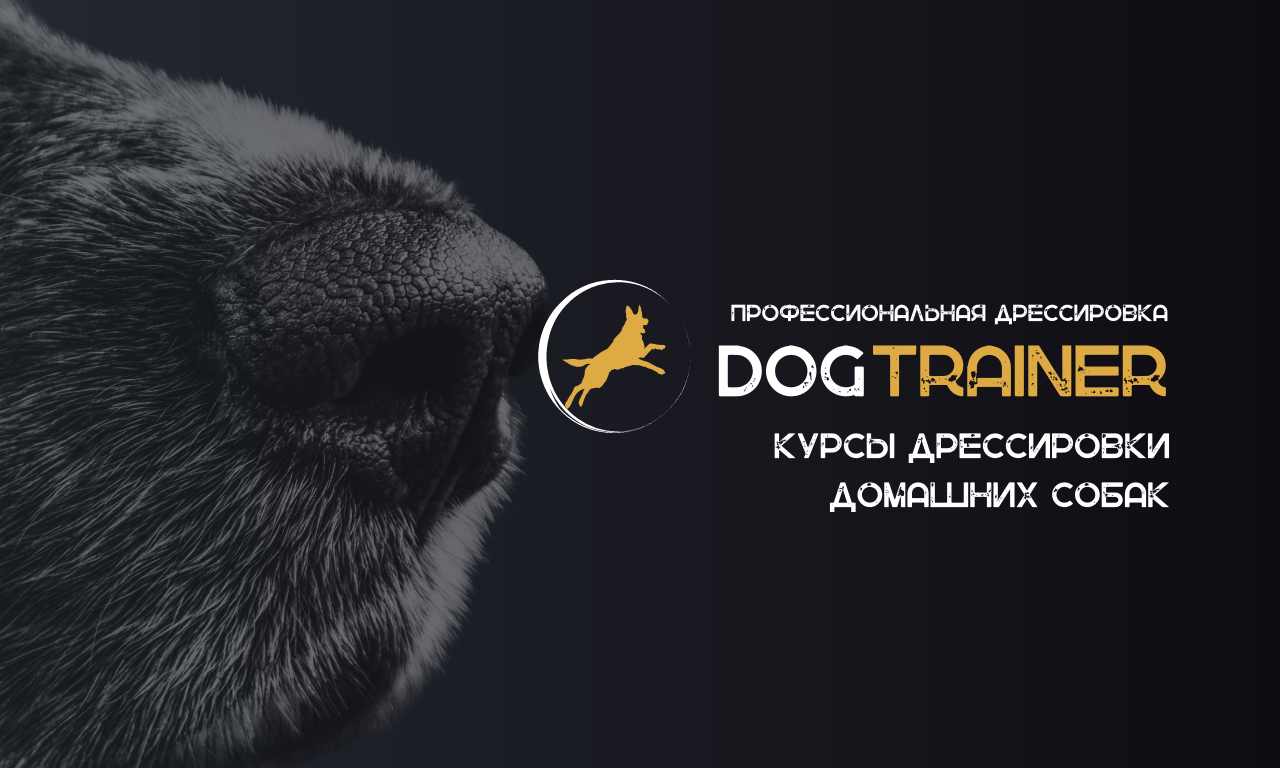 Дрессировка собак в Мурманске | DogTrainer – Дрессировка животных Мурманск